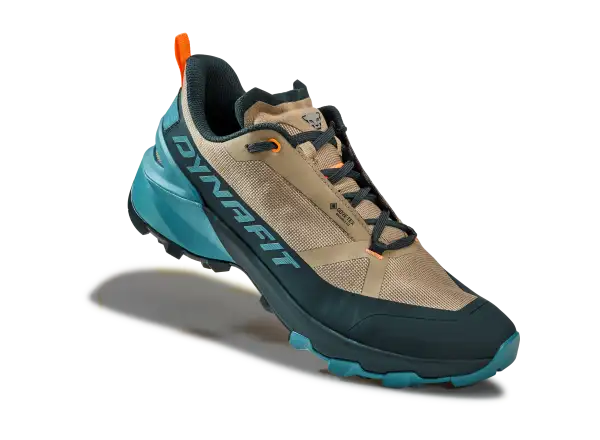 Dynafit Transalper 2 GTX męskie buty do biegania Blueberry/Fallen Rock