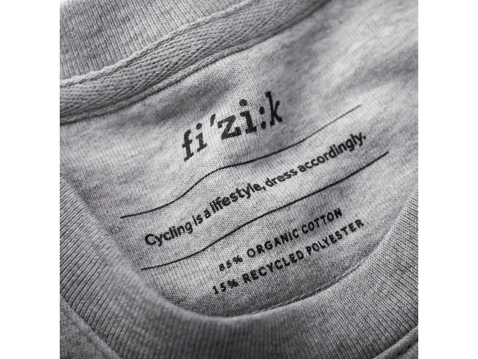 Fizik Logo bluza Gray