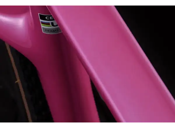 Cervélo Aspero Shimano GRX RX825 Di2 Dusty Unicorn 48
