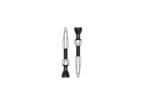 Lezyne CNC TLR bezdętkowe wentyle 44 mm silver