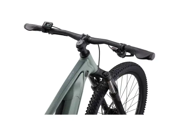 Liv Tempt E+ 3 rower elektryczny górski eucalyptus