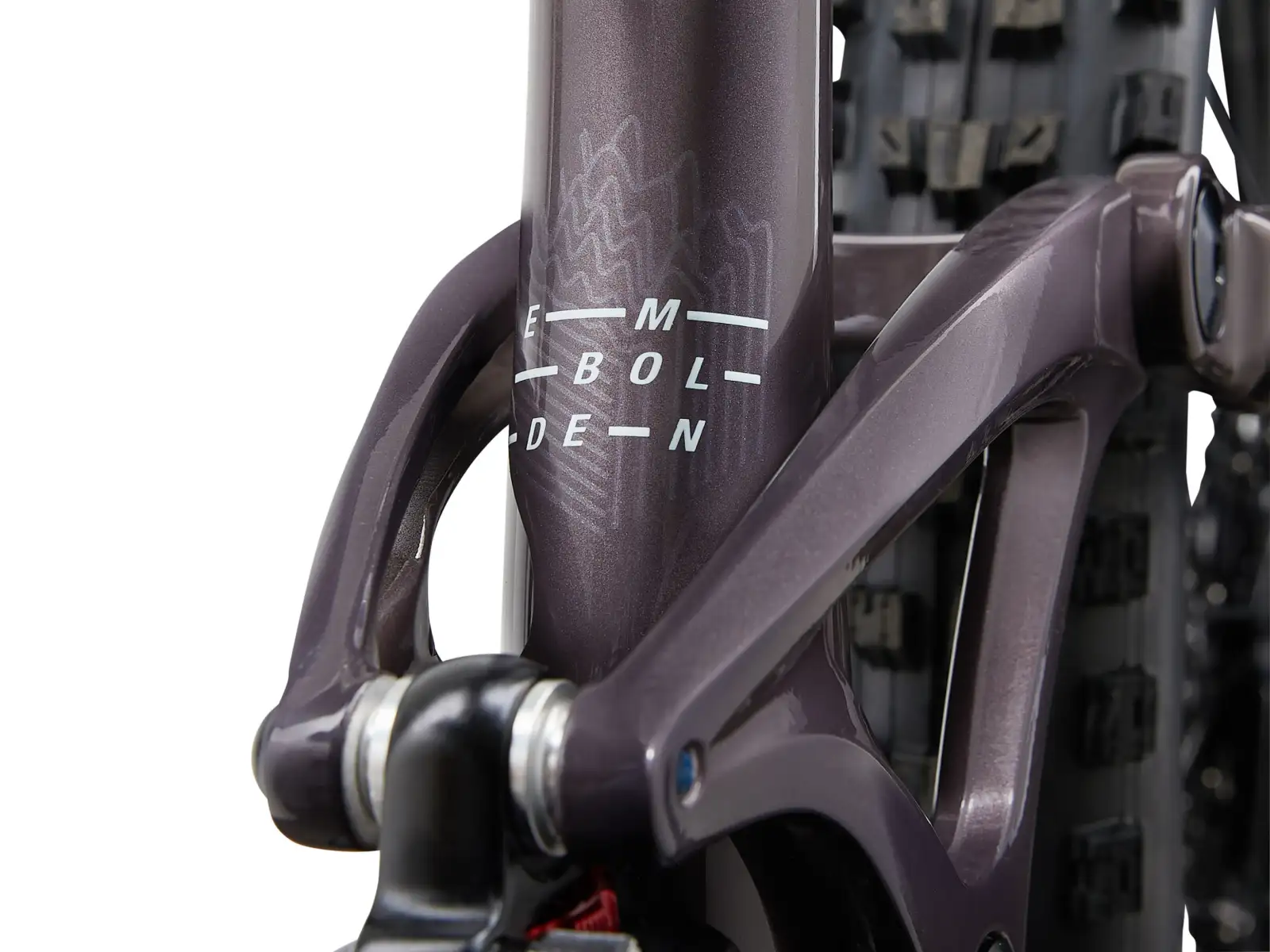 Liv Embolden 29 1 damski rower górski Charcoal Plum