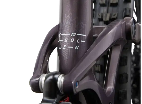 Liv Embolden 29 1 damski rower górski Charcoal Plum