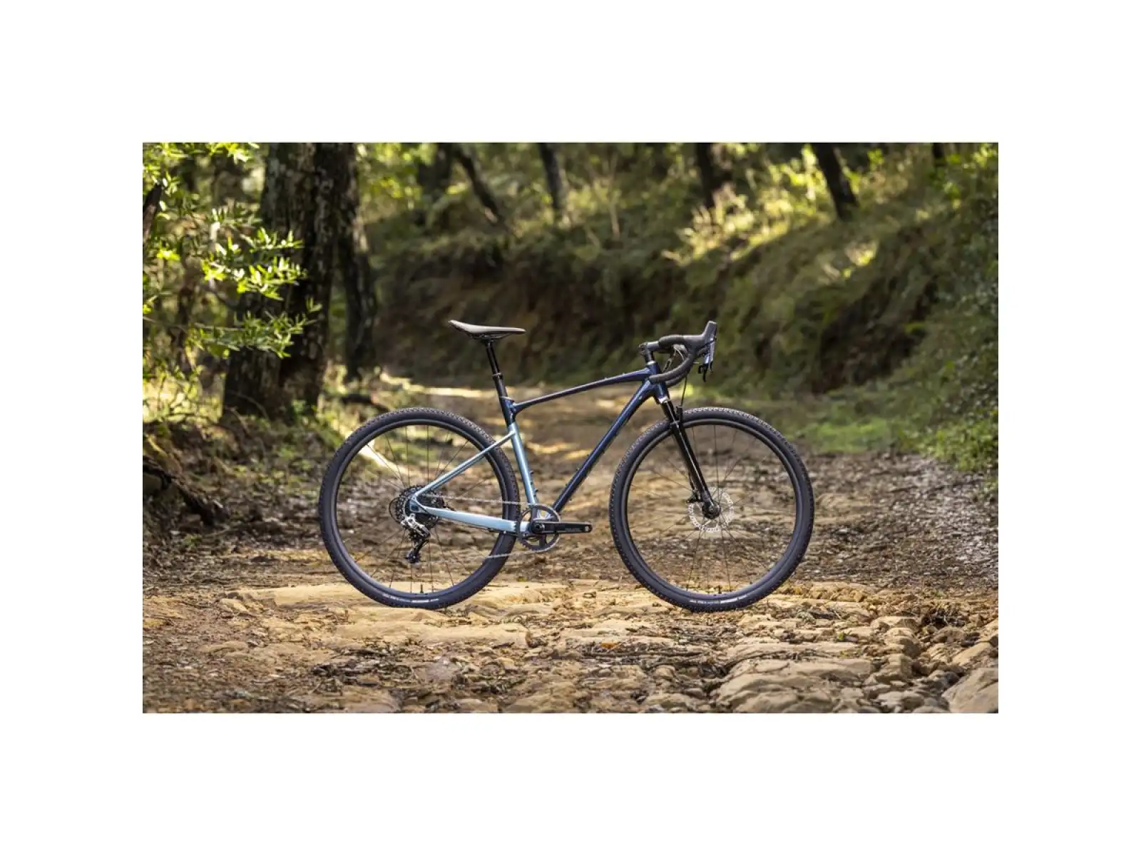 Giant Revolt X 1 gravel rower cold night
