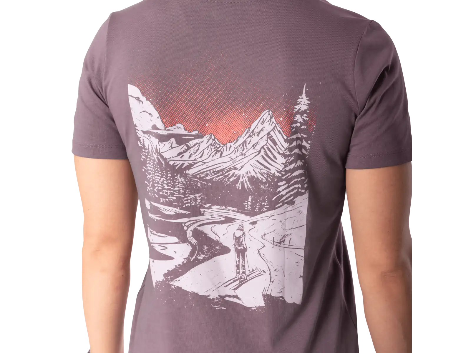 Dynafit Back Graphic Cotton damska koszulka krótki rękaw Ephemera/Valley