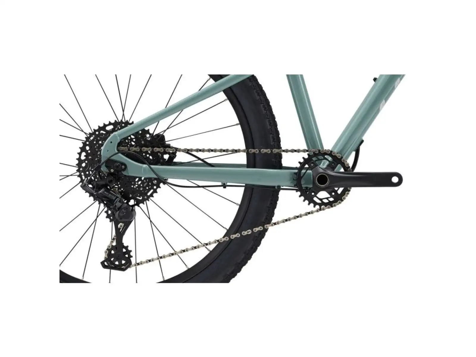 Liv STP 26 M dziecięcy rower górski Eucalyptus