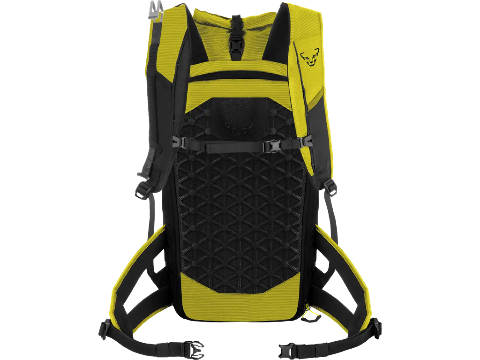 Dynafit Radical 30+ plecak skiturowy 30 l Golden Lime/Black Out