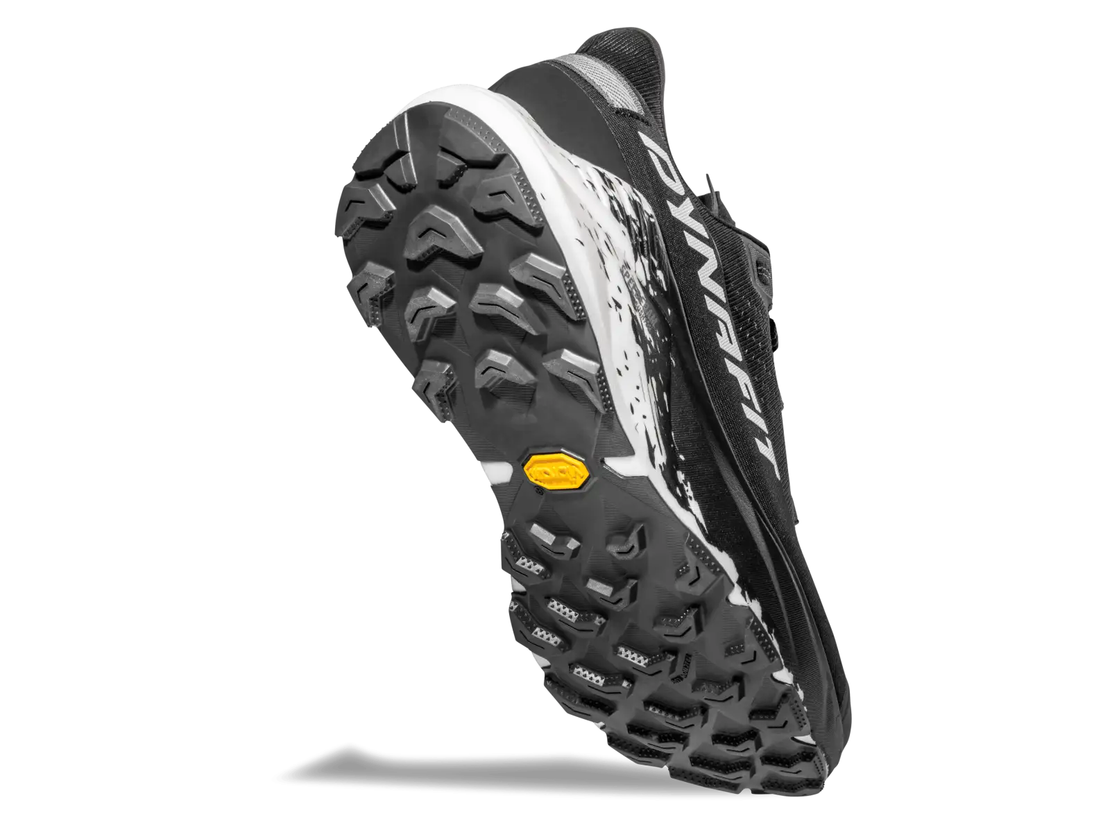 Dynafit Ultra 100 V3 GTX męskie buty do biegania Black Out/White