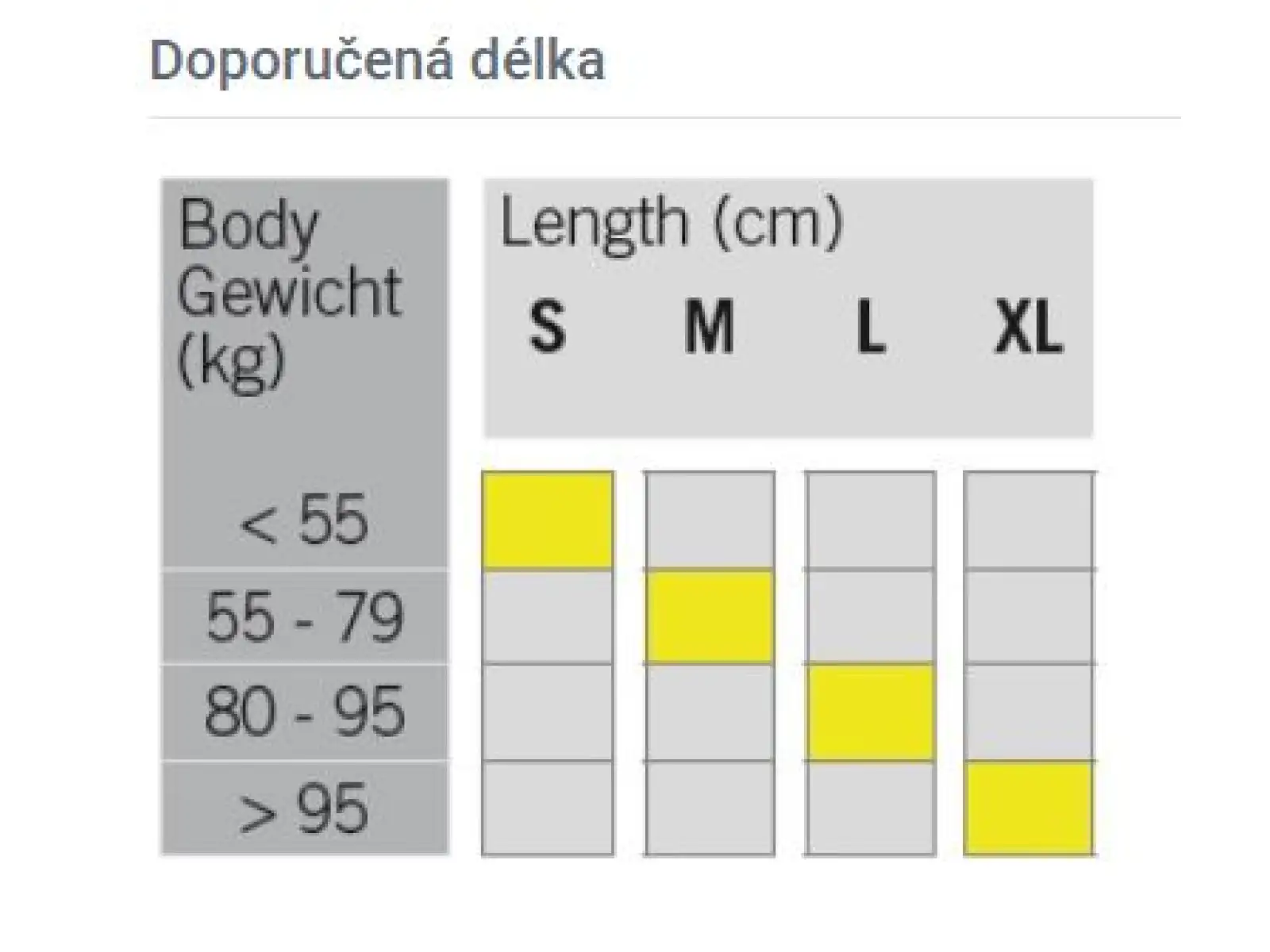 Fischer Cruiser EF narty biegowe + Control Step wiązania zestaw 2023/24