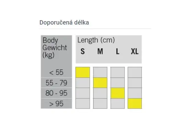 Fischer Cruiser EF narty biegowe + Control Step wiązania zestaw 2023/24
