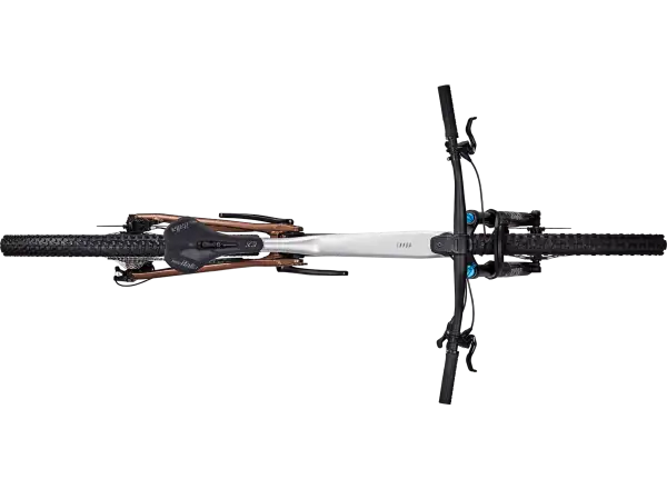 Focus Thron 6.9 rower górski Nepalsilver/Platinumbronze