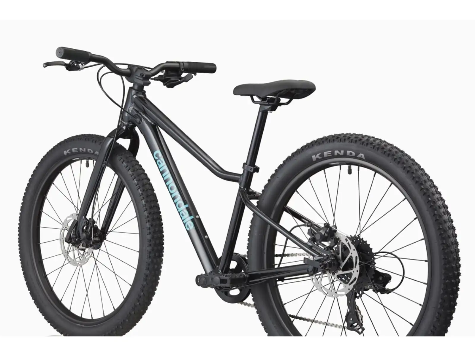 Cannondale Kids Trail Plus 24 rower dziecięcy Black Pearl
