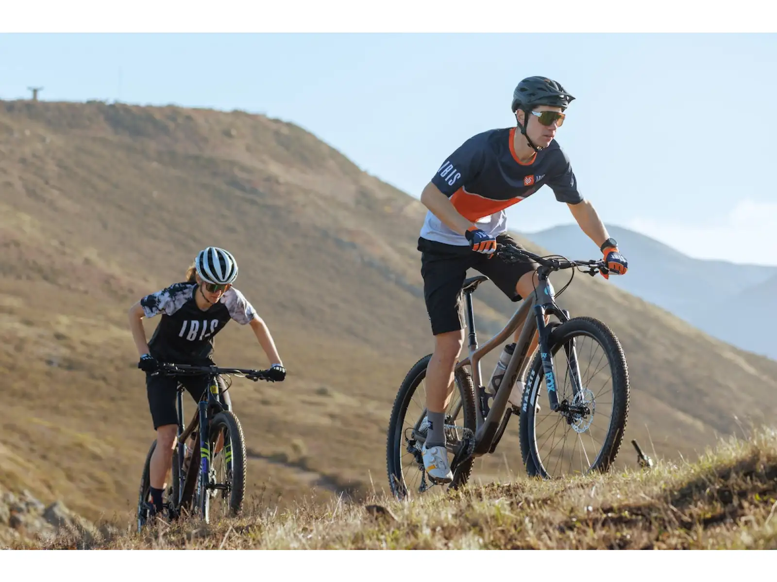 IBIS DV9 frame set Muddy Waters