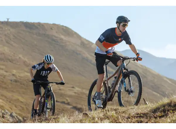IBIS DV9 frame set Muddy Waters