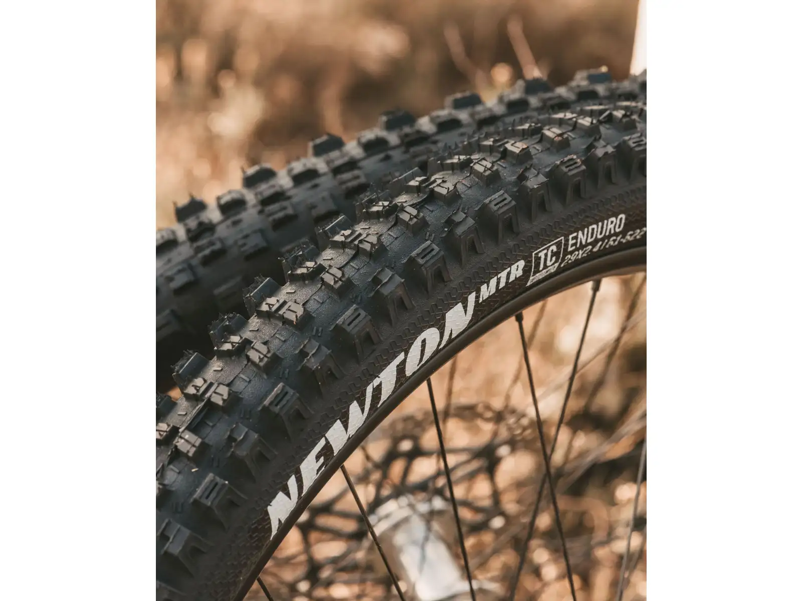 Goodyear Newton MTR Trail Tubeless Complete 29x2,40" MTB opona kevlar