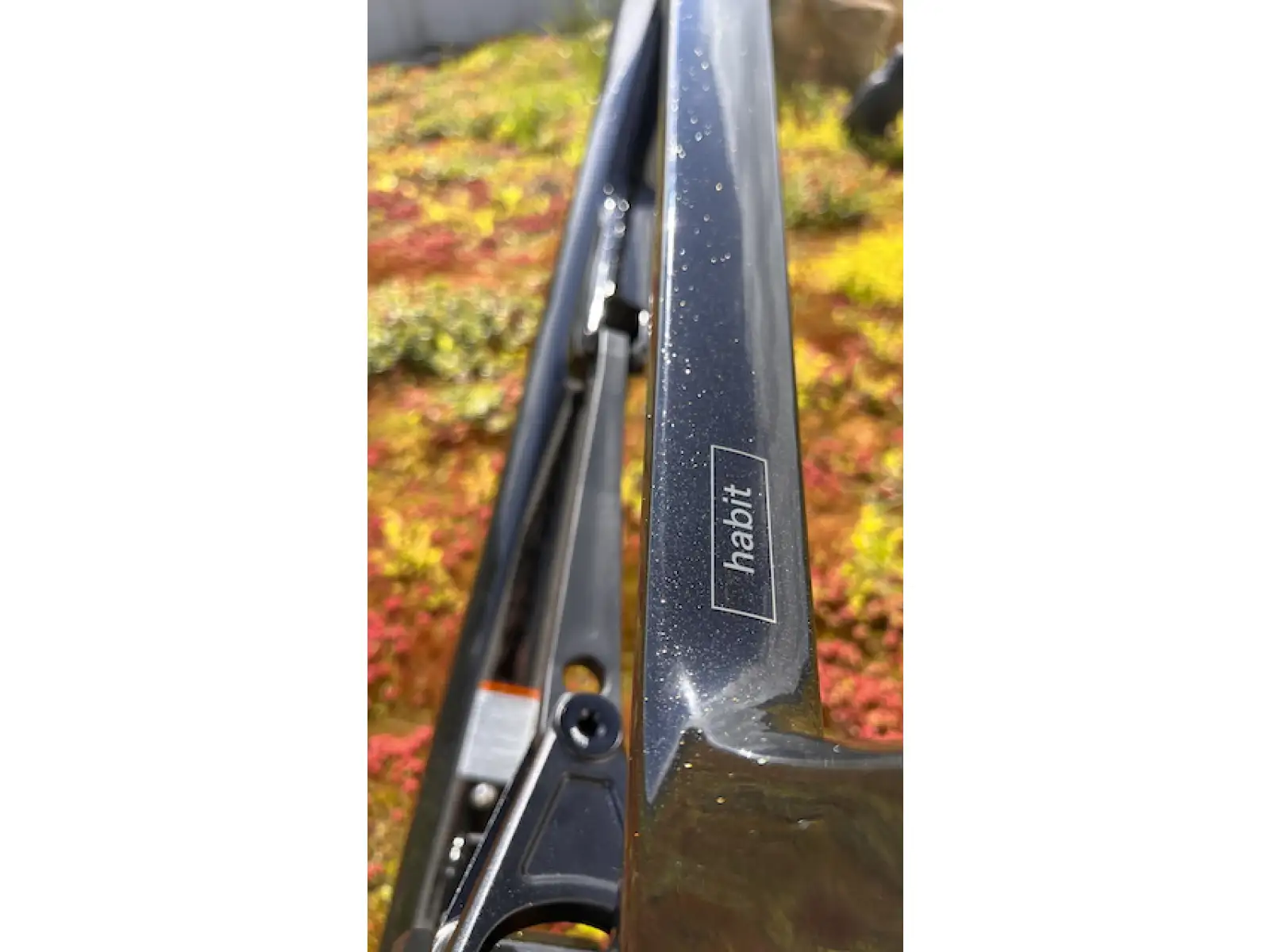 Cannondale Habit Carbon 29" MTB rama GDT