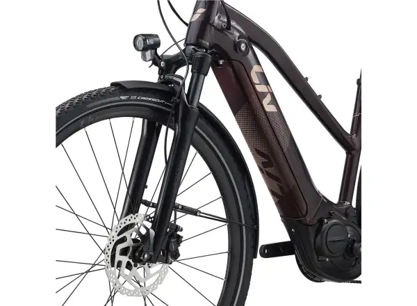 Liv Amiti E+2 rower elektryczny trekkingowy rosewood