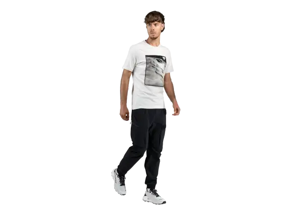 Dynafit Graphic Cotton męska koszulka krótki rękaw Nimbus/First Track