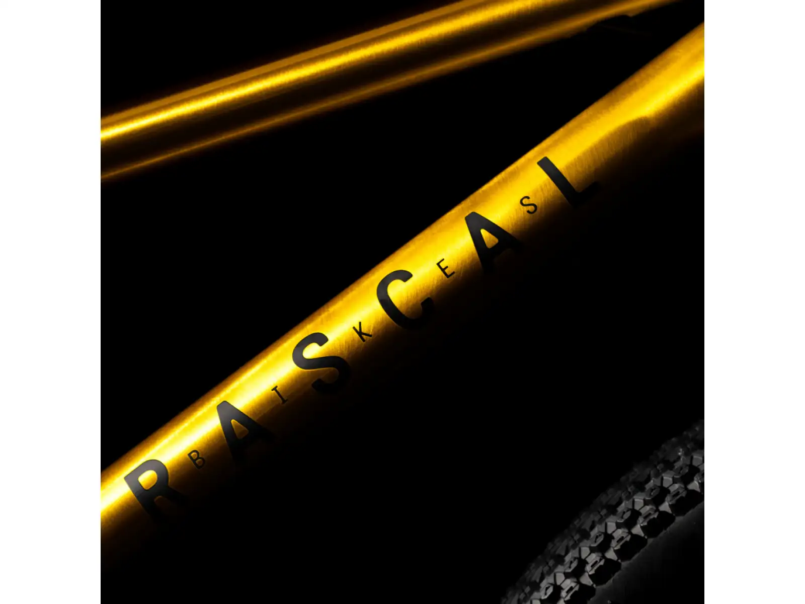 Rascal 20 rower dziecięcy Gold