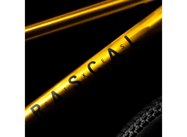 Rascal 20 rower dziecięcy Gold