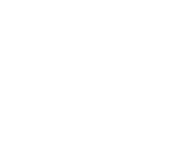 dynafit