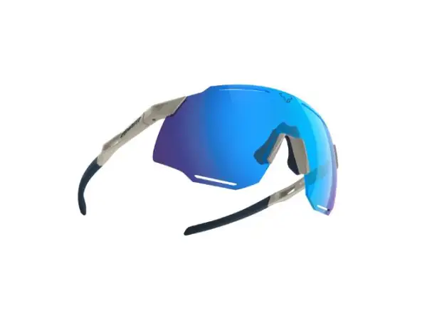 Dynafit Alpine Evo okulary Rock Khaki/Blueberry