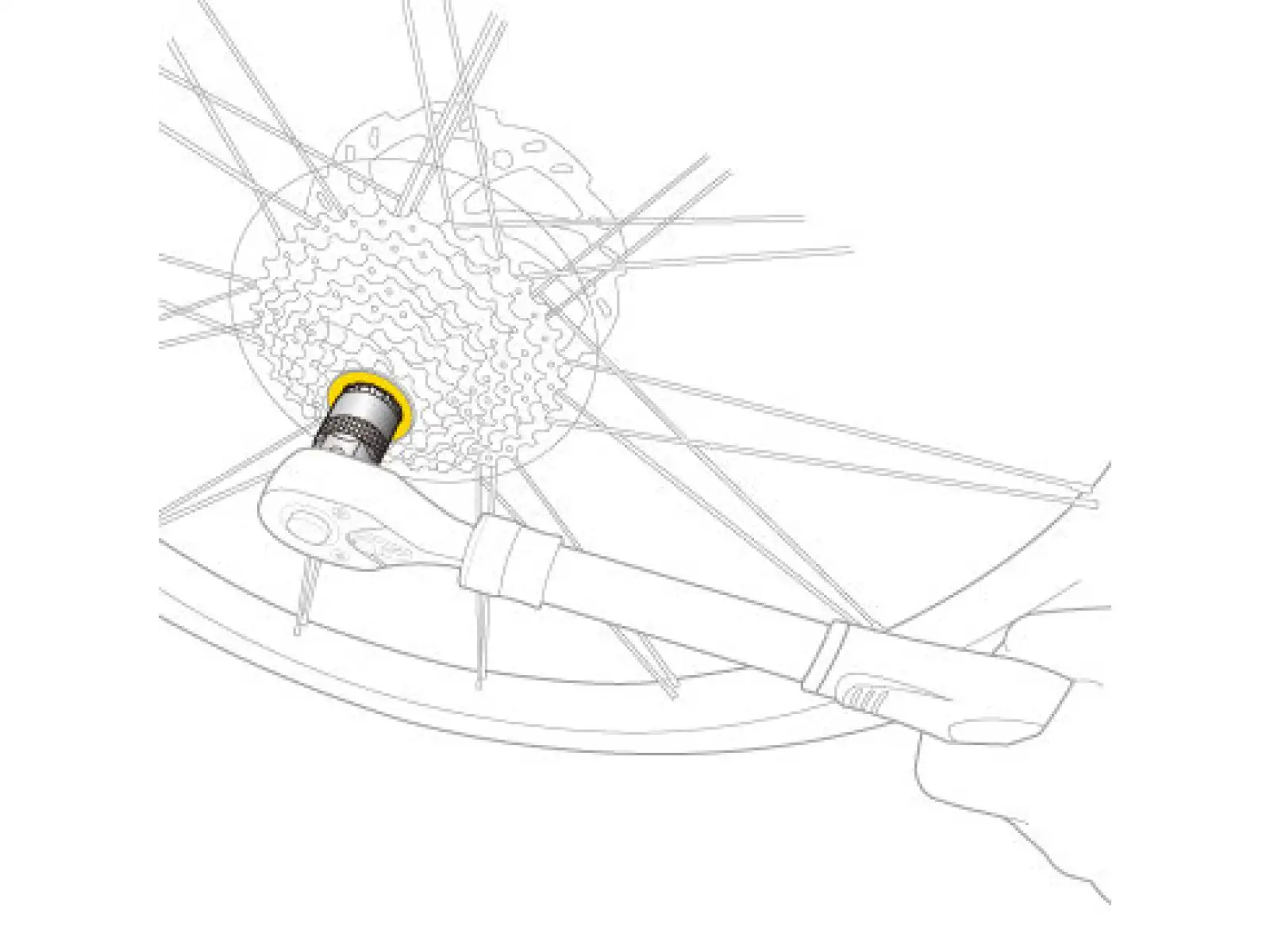 Topeak Freewheel Remover ściągacz