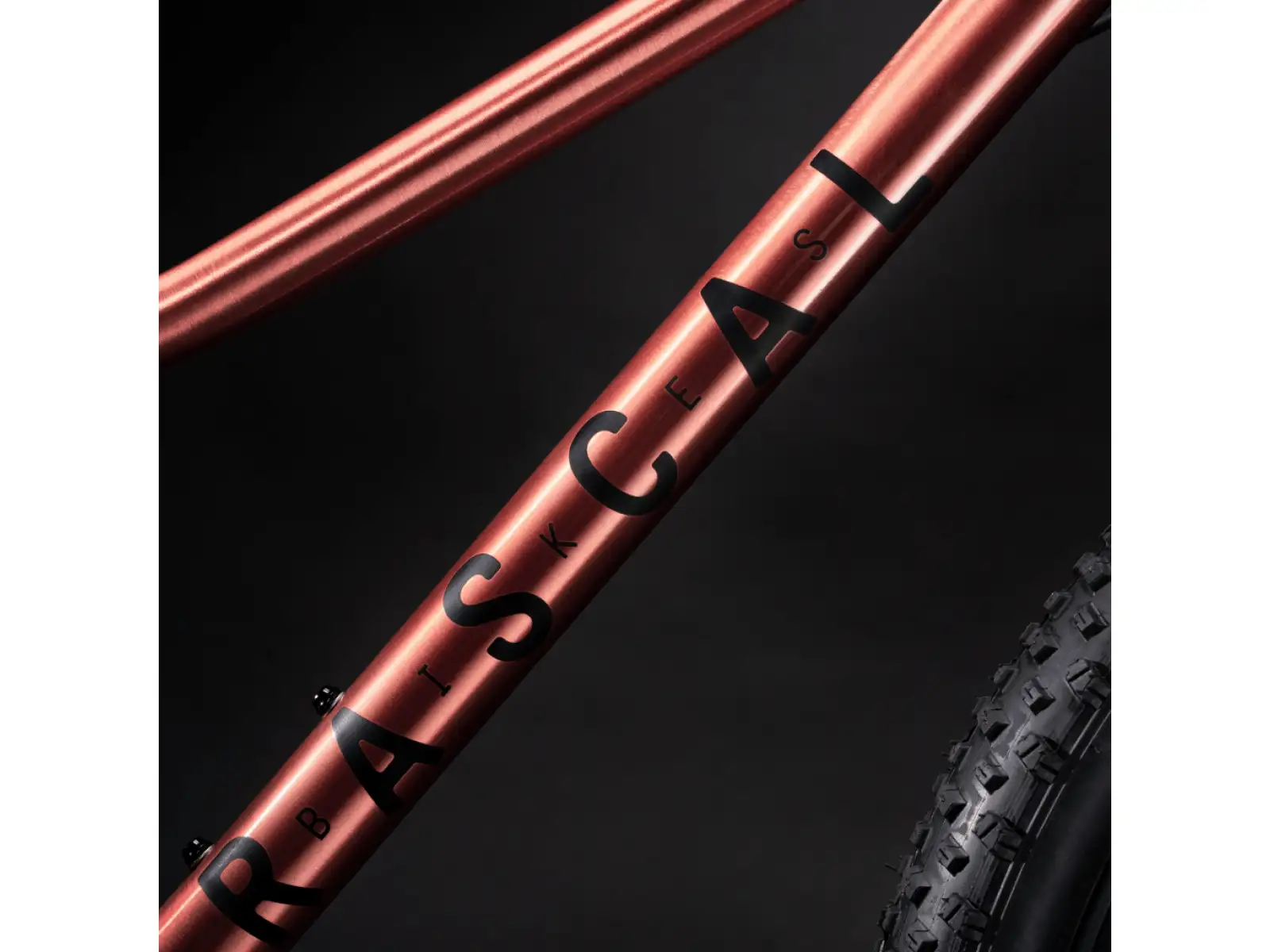 Rascal Wild 24 rower dziecięcy Bronze