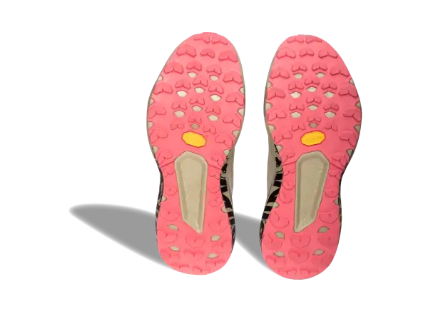 Dynafit Trail Graffic damskie buty do biegania Overcast/Black Out