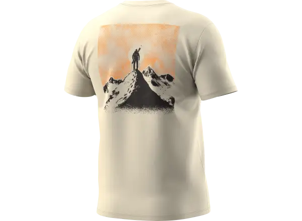 Dynafit Back Graphic Cotton męska koszulka krótki rękaw Overcast/Summit