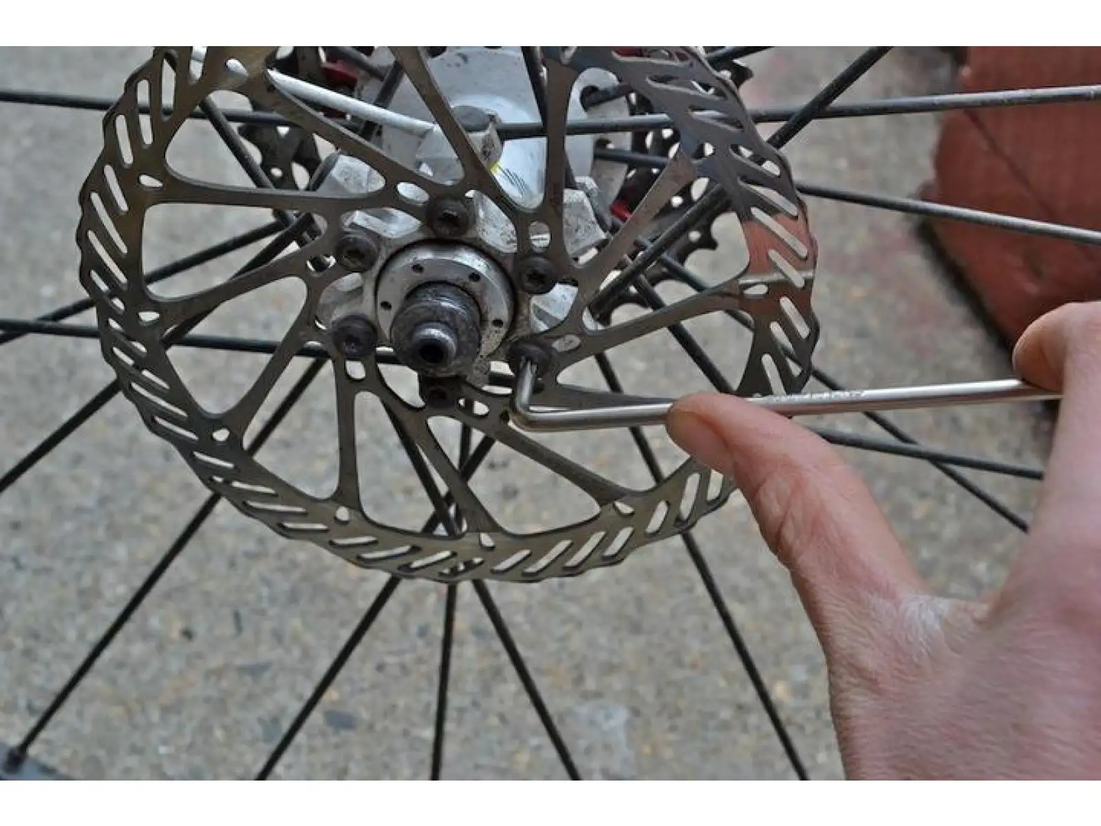 Pedros zestaw kluczy Torx 7 sztuk