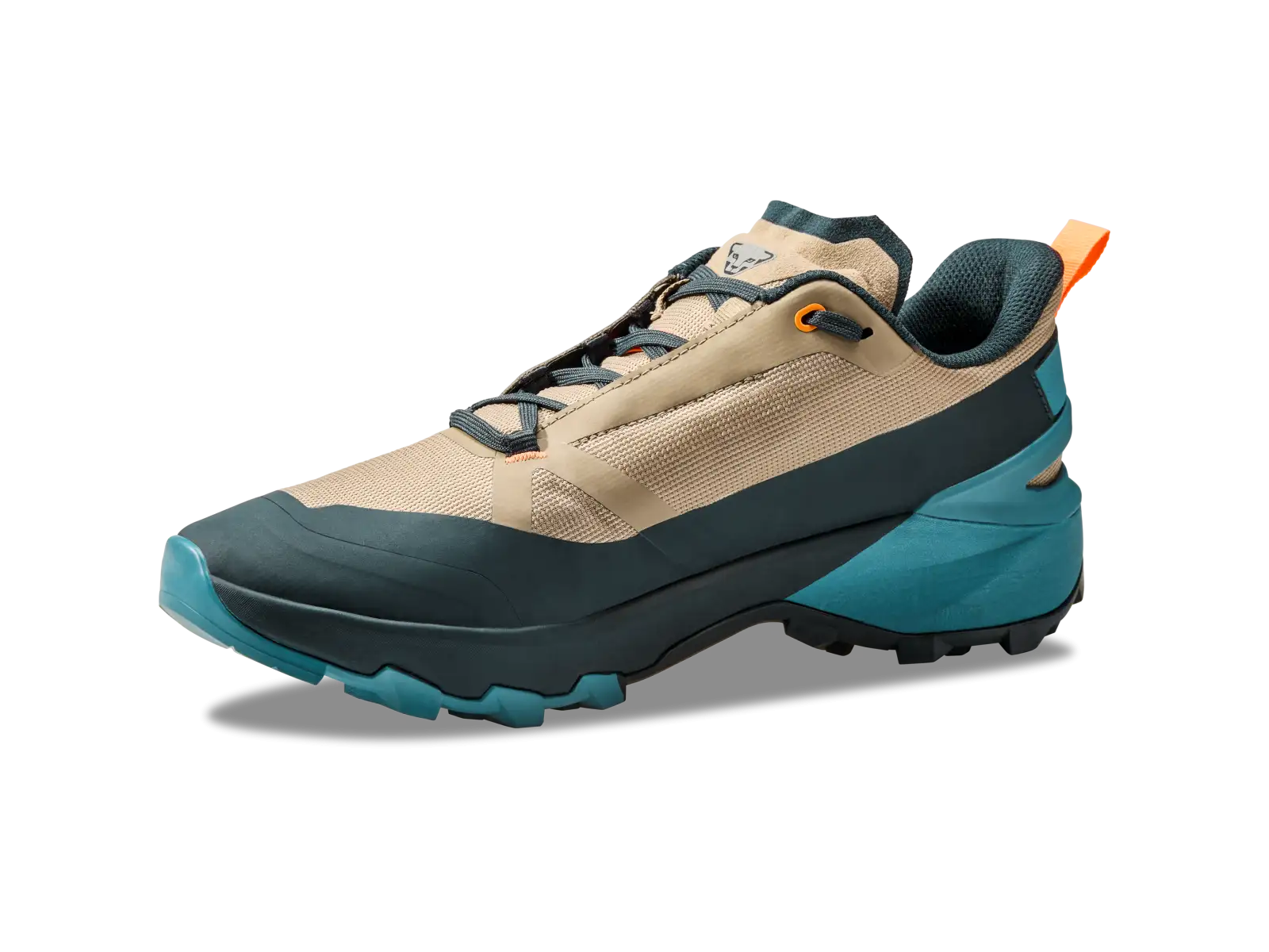 Dynafit Transalper 2 GTX męskie buty do biegania Blueberry/Fallen Rock