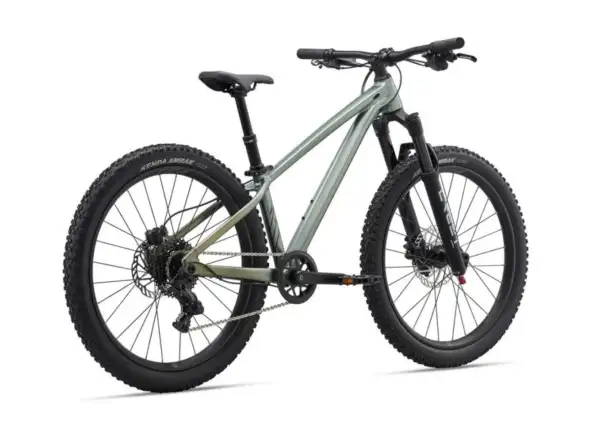Liv STP 24 dziecięcy rower górski Alpine Green