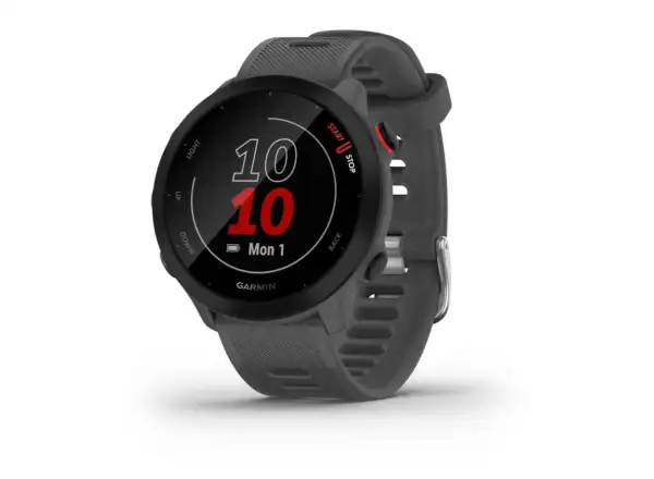 Garmin Forerunner 55 inteligentny zegarek Grey