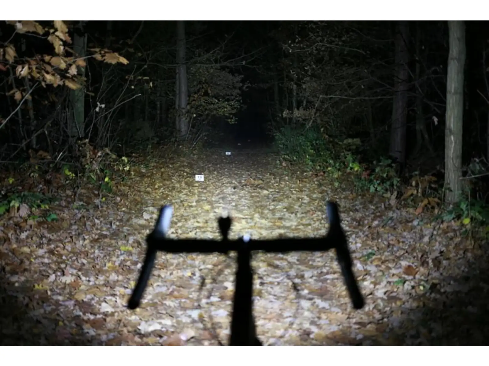 Smart Polaris 650 USB przednie światło
