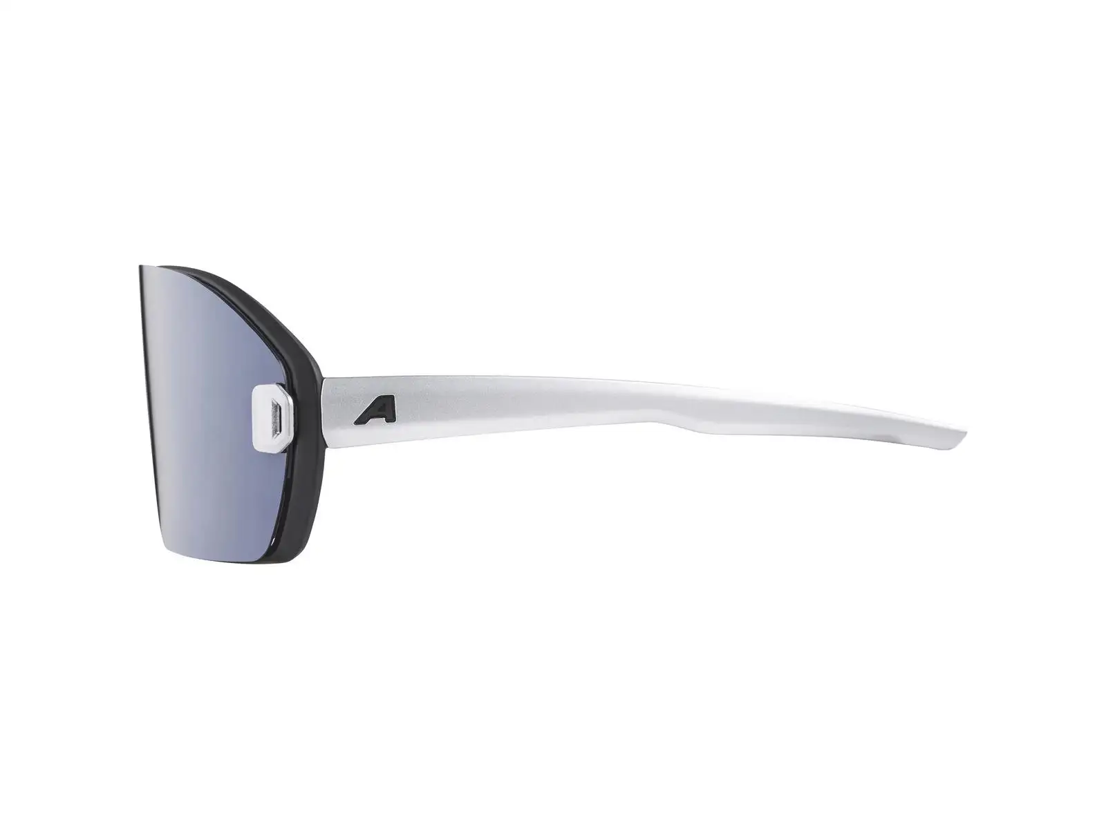 Alpina Bonfire Mag Q okulary Black Matt