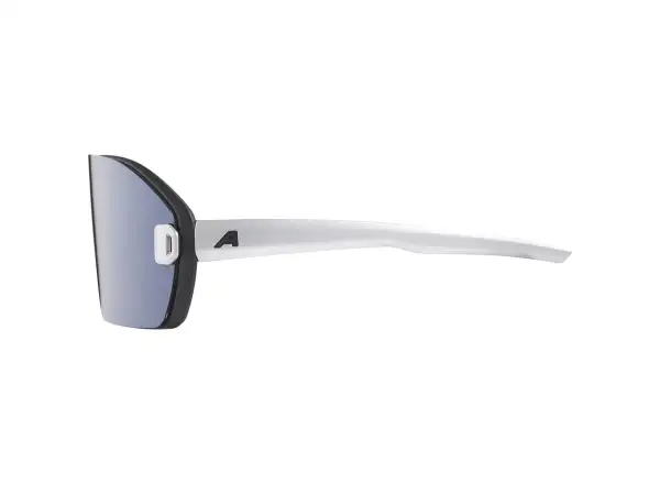 Alpina Bonfire Mag Q okulary Black Matt