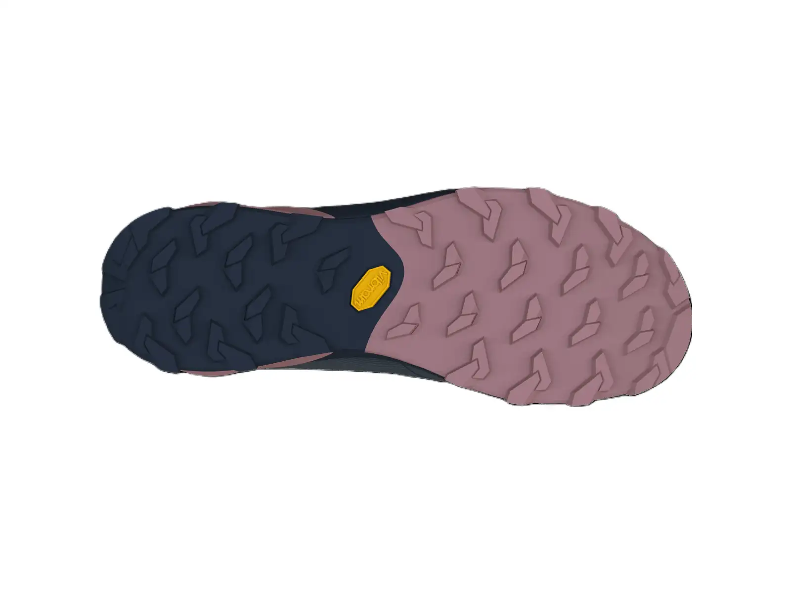 Dynafit Transalper 2 GTX damskie buty biegowe Blueberry/Fallen Rock