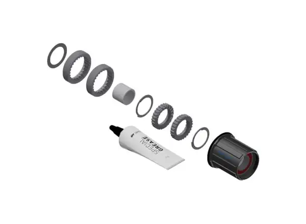 DT Swiss Kit Ratchet LN Shimano HG MTB Stal - zestaw konwersyjny piast z 3pawls na Ratchet LN