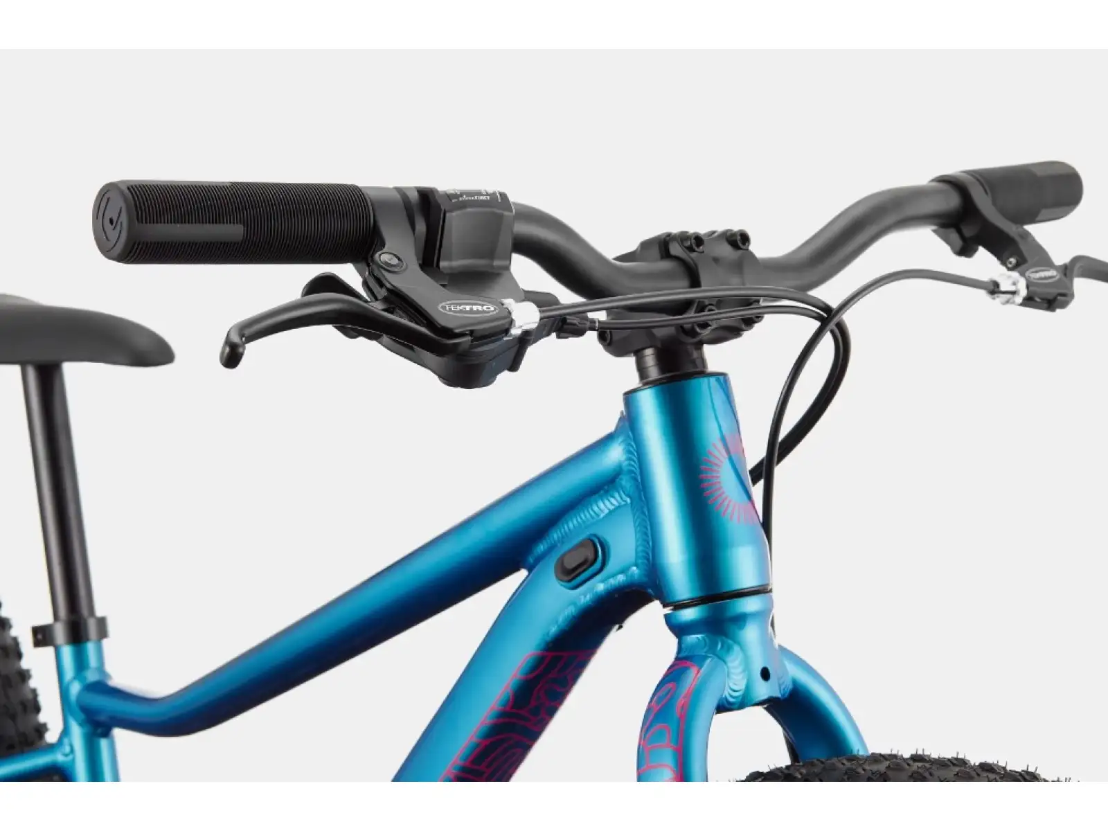 Cannondale Kids Trail Plus 24" rower dziecięcy Deep Teal