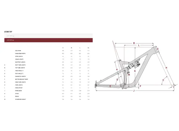 Focus JAM 6.9 rower górski Lightgrey/Macha