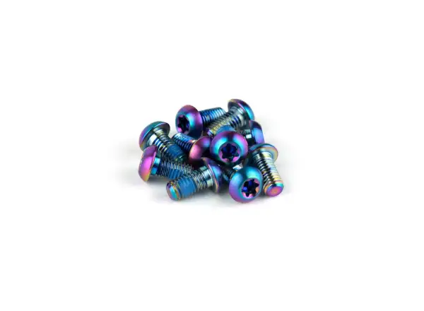 Sram Rotor Bolt Kit TI T25 zestaw tytanowych śrub do mocowania tarcz 12 sztuk