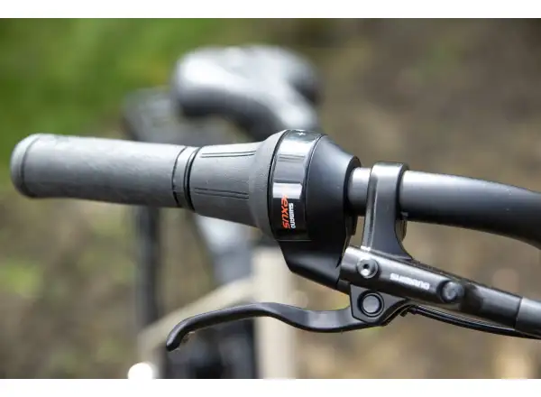 Superior eWAY 6.45 miejskie rower elektryczny Gloss Dust
