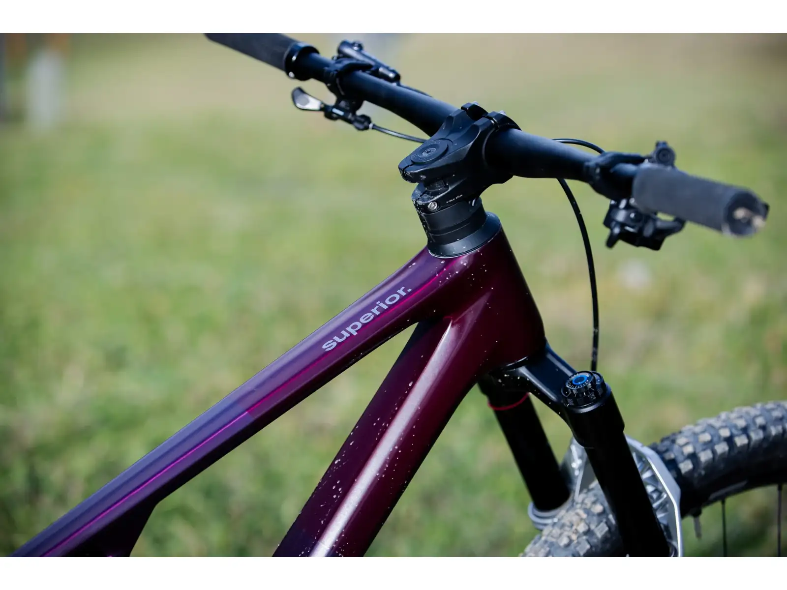 Superior XF 9.7 DC rower górski Matte Berry Carbon