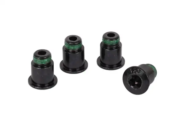 Sram Chainring Bolt Kit 4 Rival D1 zestaw śrub do tarczy napędowej