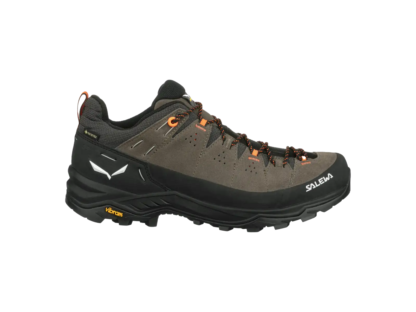 Salewa Alp Trainer 2 GTX męskie buty Bungee Cord/Black