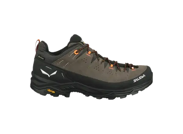 Salewa Alp Trainer 2 GTX męskie buty Bungee Cord/Black