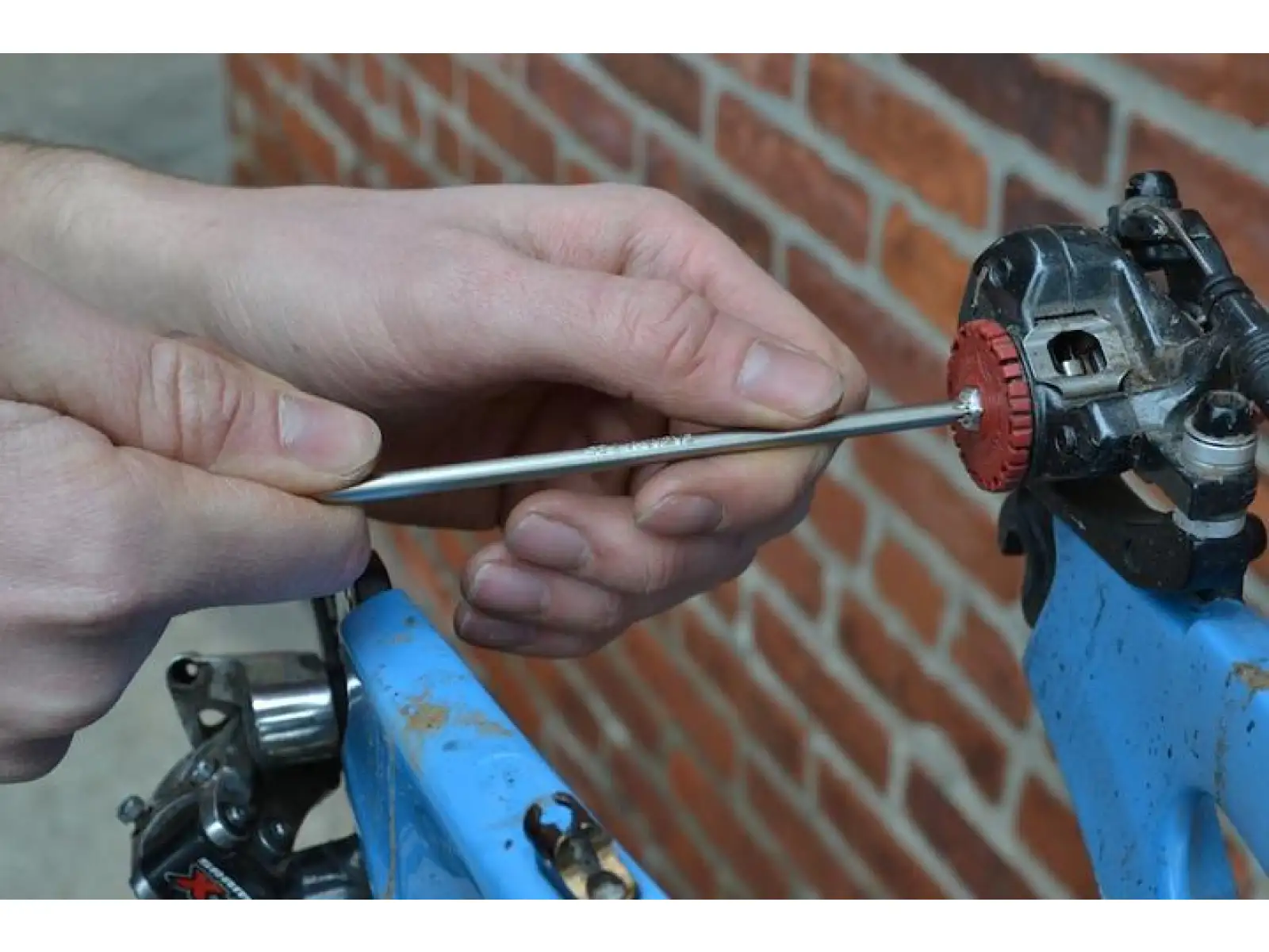 Pedros zestaw kluczy Torx 7 sztuk