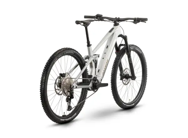 Raymon Airok rower elektryczny pełne zawieszenie Silver Stealth/Taupe
