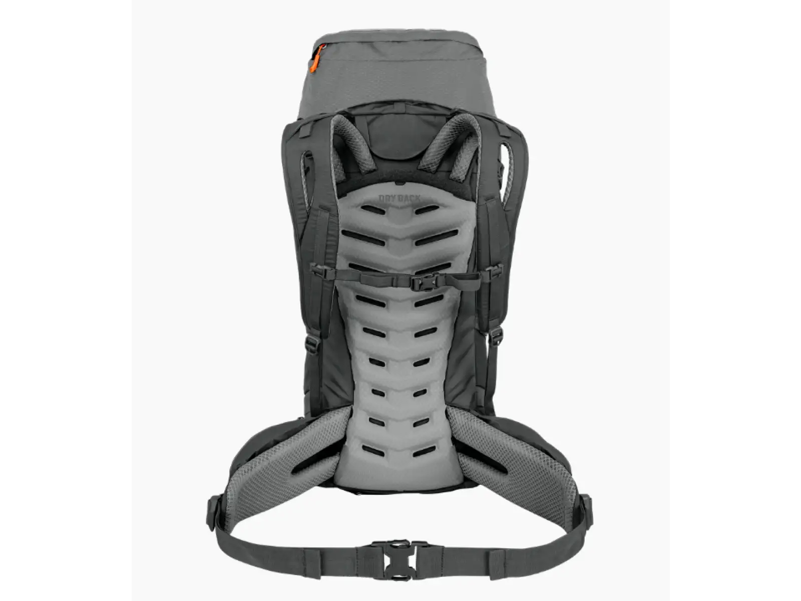 Salewa Alptrek plecak turystyczny 42+5 l Shadow/Dark Olive